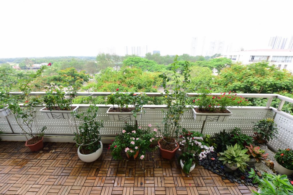 Những mảng màu từ góc vườn kết nối hài hoà với mảng xanh rộng lớn của đô thị, tạo thành “dải lụa xanh” mềm mại và dường như không giới hạn.