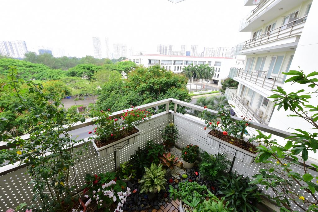Những mảng màu từ góc vườn kết nối hài hoà với mảng xanh rộng lớn của đô thị, tạo thành “dải lụa xanh” mềm mại và dường như không giới hạn.