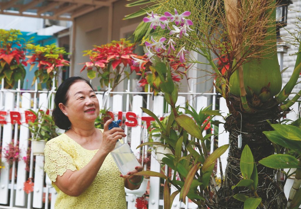 Nhiều cư dân tại Phú Mỹ Hưng đã tranh thủ thời gian giãn cách để chăm chút khu vườn nhỏ của mình, tô điểm không gian sống thêm thơ thêm tình và cùng chủ đầu tư “dệt” nên những mảng xanh trong lòng phố.